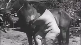 équitation (beau cul ...