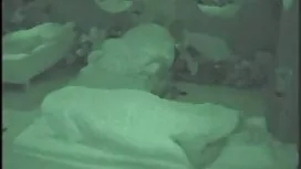 Superbe fille amateu ...