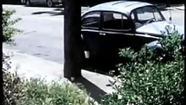 l'adolescence porno  ...