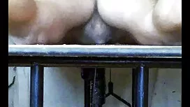 Plaisir d'arrière-co ...